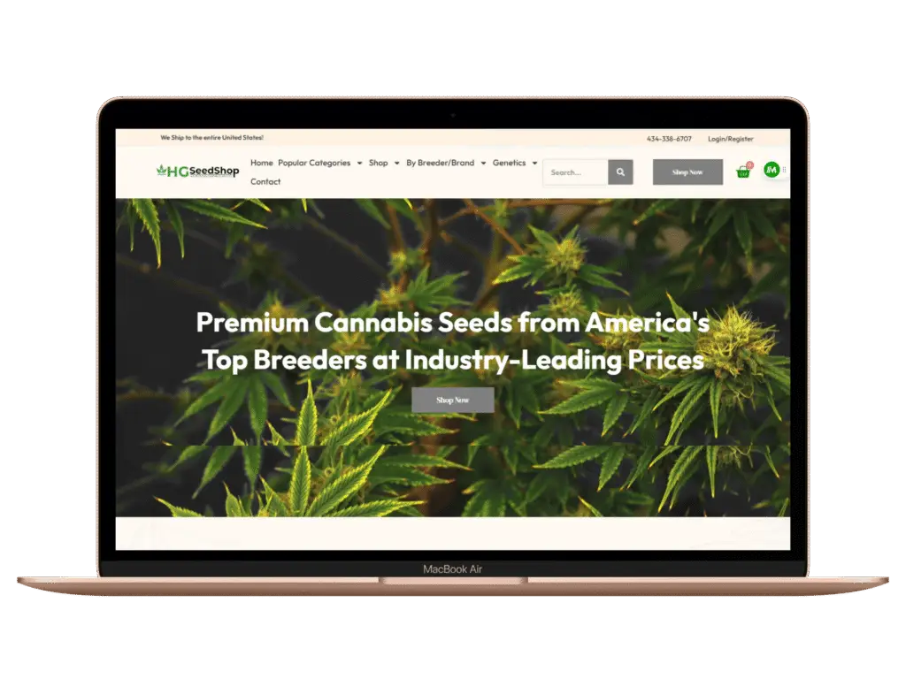 Web design company project Hgseedshop